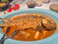 -阿五黄河大鲤鱼(英协路店)