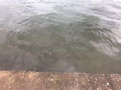 -食膳公园包子铺(烈士公园店)