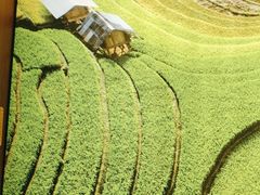 -湘邻呷铺·田园家宴(汉基广场店)