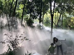 -成都市活水公园