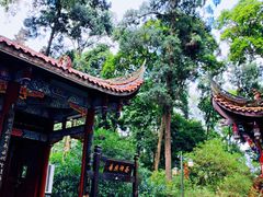 -都江堰普照寺