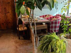 -慢丽江·云南野生菌土鸡锅(付家庄店)