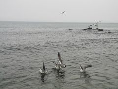 景点-银沙滩浴场