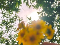 -大夫山顺驰自助烧烤场