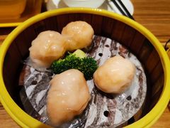 -粤港餐厅(禹州商业广场店)