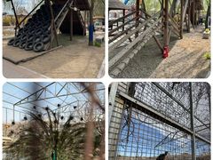 -河北村民俗体验园