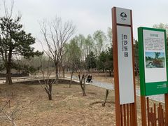 -东郊湿地公园
