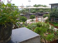-蘇河湾·新鲁菜·泰山宴(泰山店)