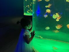 -北戴河圣蓝海洋公园