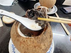 原只椰子炖走地鸡-達揚原味燉品(文明路店)