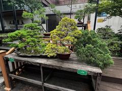 -陈家山荷花公园