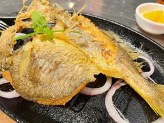 潮煎黄花鱼-潮界(虹桥新天地店)