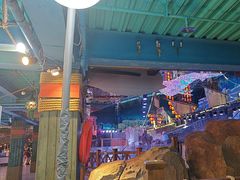 -海合安青岛极地海洋公园
