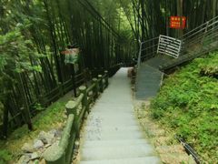 -藏龙百瀑风景区