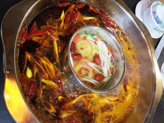 -金鼎雪山牦牛杂火锅(理县总店)