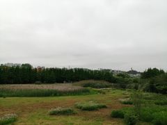 -贵阳市花溪国家城市湿地公园