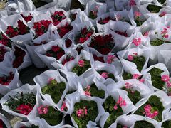 -梅红羊肉馆(赭山西路店)