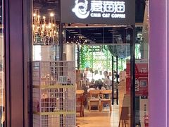 门面-藏猫猫咖啡主题馆(中央大道店)