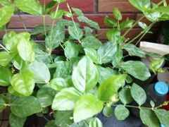 -复兴门(地铁站)