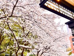 -玛格萝妮比萨屋(四平店)