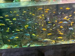 -嘉兴海底世界
