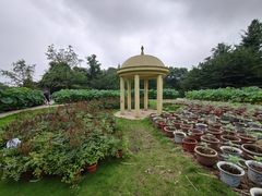 -南山植物园