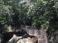 -呀诺达热带雨林