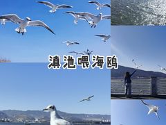 -海埂大坝