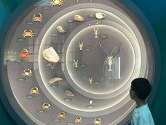 -中国湿地博物馆