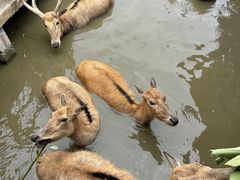 -宁波杭州湾国家湿地公园