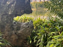 -堤角公园