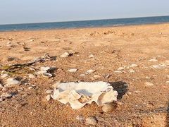 -天津东疆湾沙滩景区