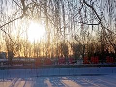 -老城味道·传统天津菜(杨柳青店)