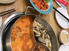 -青瓷火锅料理(西单大悦城店)