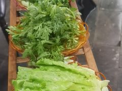-蘑统田下·野生菌火锅
