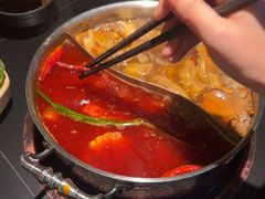 -季季山•云南野生菌火锅(上海首店)