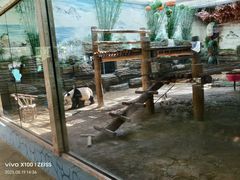 -西霞口神雕山野生动物世界