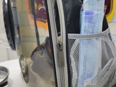 -中农国际动物医院24小时·猫科·骨科·急重症中心
