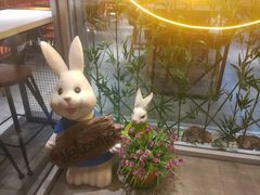 -苗小坛酸汤鱼(酒仙桥店)