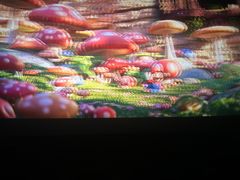 -SFC上影影城(北京大兴龙湖天街IMAX店)