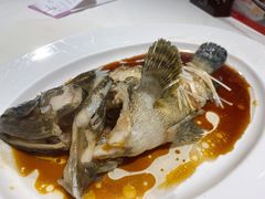 清蒸沙巴龙趸-东海海鲜酒家(中信广场店)