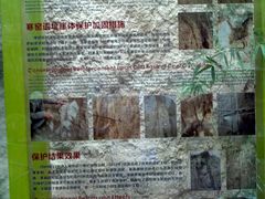 -西安曲江寒窑遗址公园