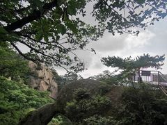 -六里坪国家森林公园