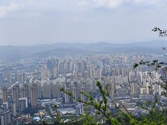 -长虫山生态公园风景林