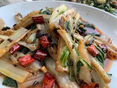 -铁山坪森林公园