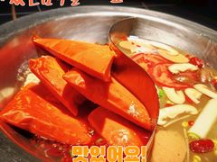 -蜀九香火锅(彩虹店)