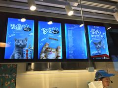 -开心猫无锡三阳广场店