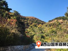 -北京西山国家森林公园