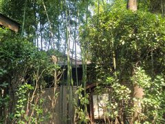-西安国际创新人才交流中心•药浴温泉