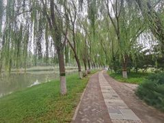 -大兴滨河森林公园